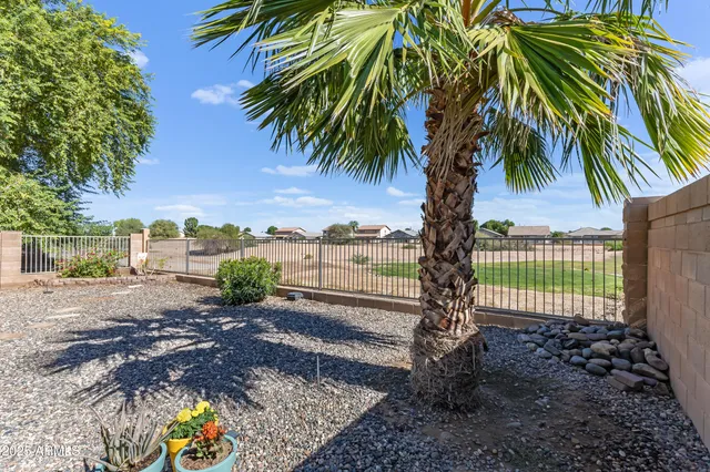 a view of a yard with a tree