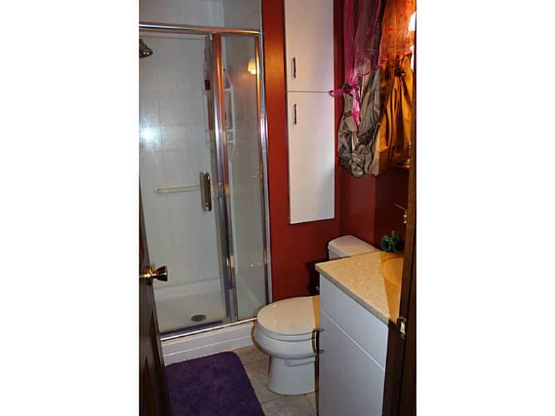 336 Streets Run Road Whitehall, PA 15236 - Photo 16 of 25 Master Bath/Spa.