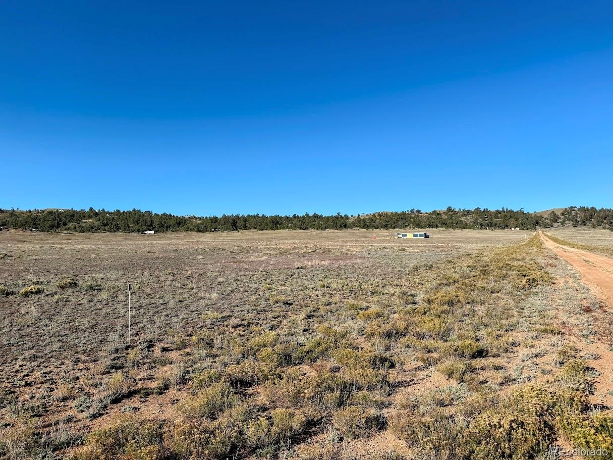 2864 Summit Road Hartsel, CO 80449 - Photo 4 of 12