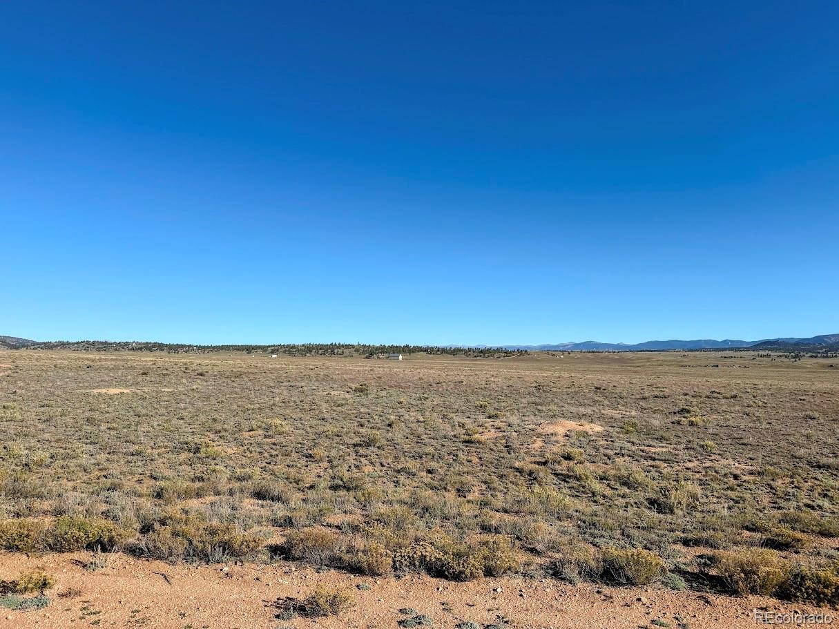 2864 Summit Road Hartsel, CO 80449 - Photo 6 of 12