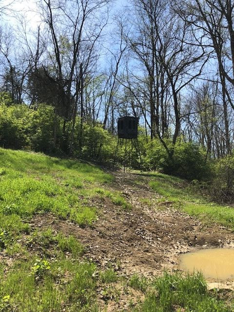 0 Stonehouse Road California, KY 41007 - Photo 13 of 24