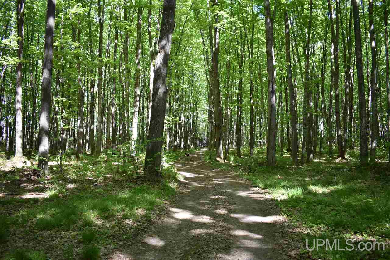 24-acres Co Rd Kb Big Bay, MI 49808 - Photo 33 of 50