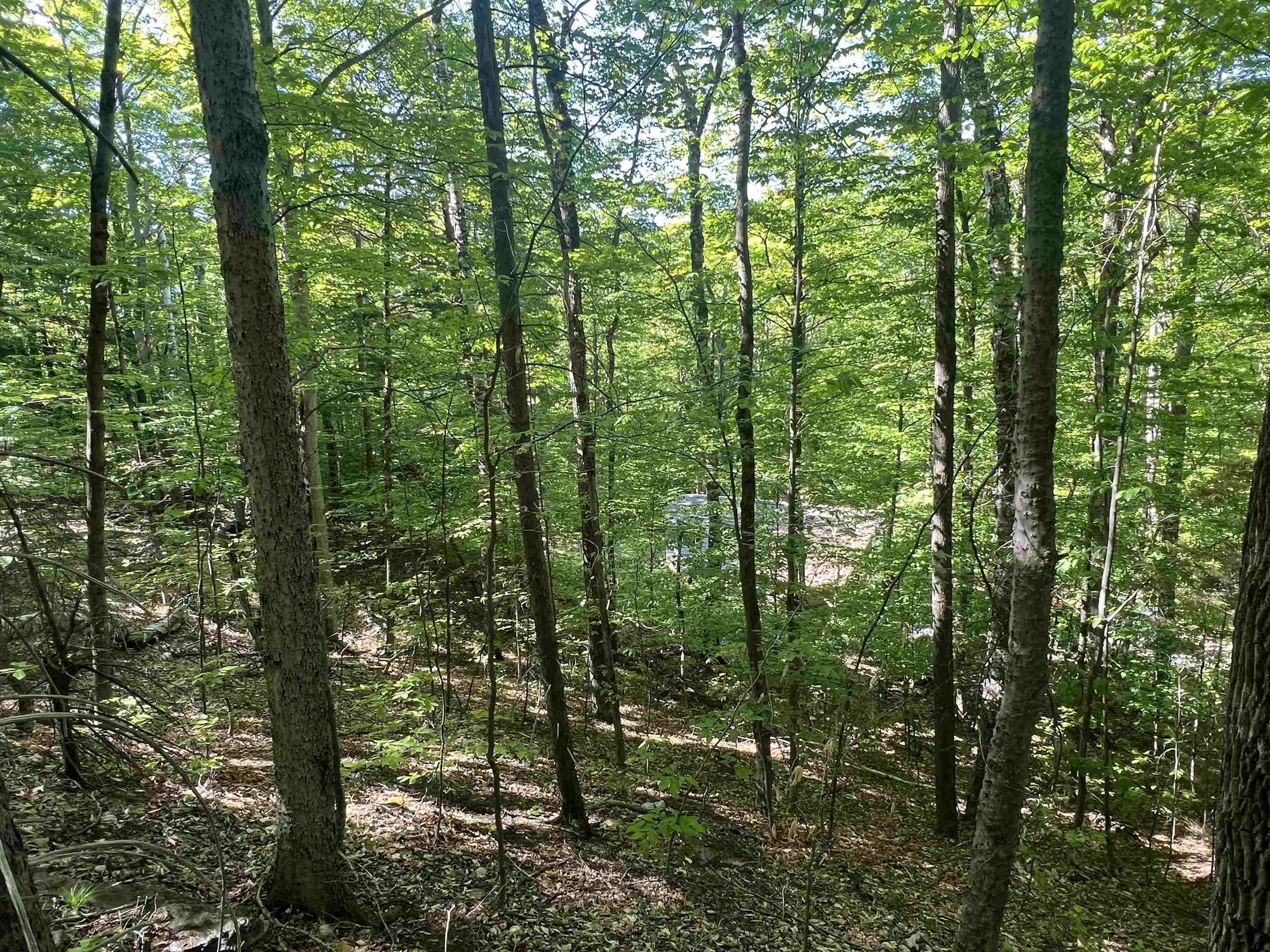 1190 Long Hill Road Woodstock, VT 05071 - Photo 10 of 12