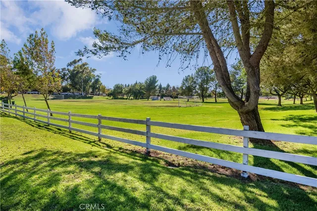 a view of a park with large trees