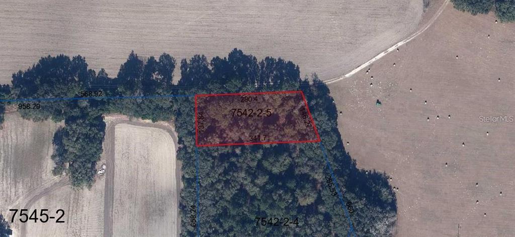 235 St Road Brooker, FL 32622 - Photo 3 of 3