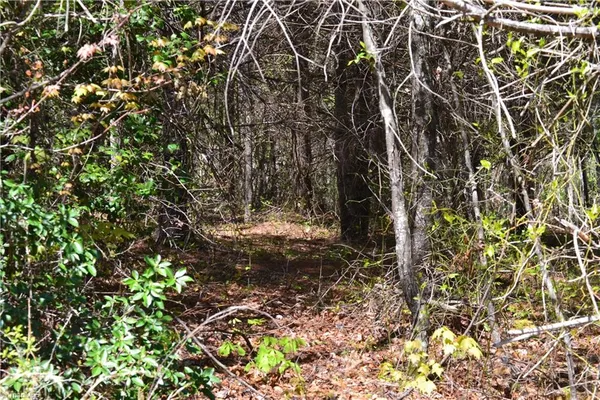 $37,500 | 0 Swaringen Road, Traphill, NC 28685