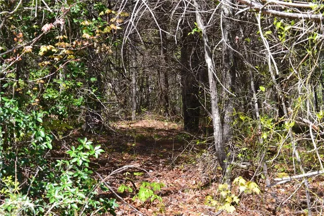 $40,000 | 0 Swaringen Road, Traphill, NC 28685