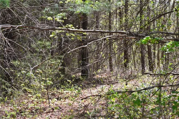 $37,500 | 0 Swaringen Road, Traphill, NC 28685