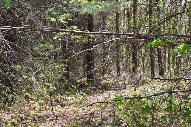 $40,000 | 0 Swaringen Road, Traphill, NC 28685