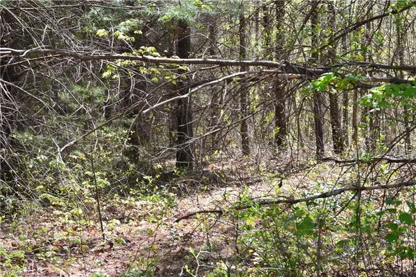 $37,500 | 0 Swaringen Road, Traphill, NC 28685