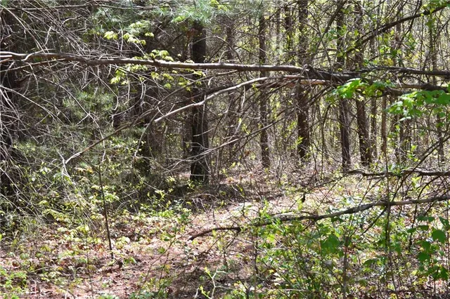 $40,000 | 0 Swaringen Road, Traphill, NC 28685