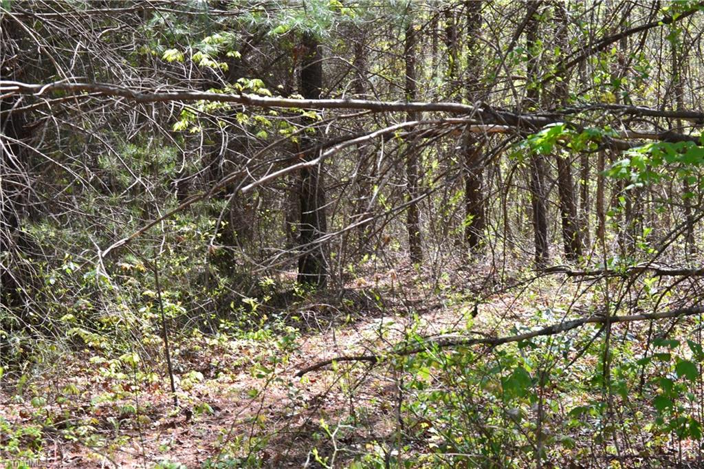 0 Swaringen Road Traphill, NC 28685 - Photo 13 of 15