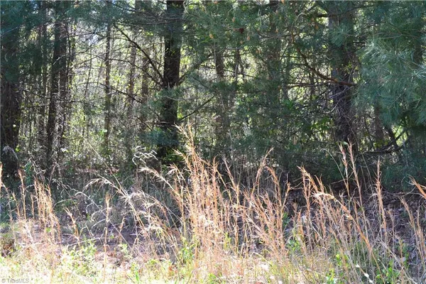 $37,500 | 0 Swaringen Road, Traphill, NC 28685