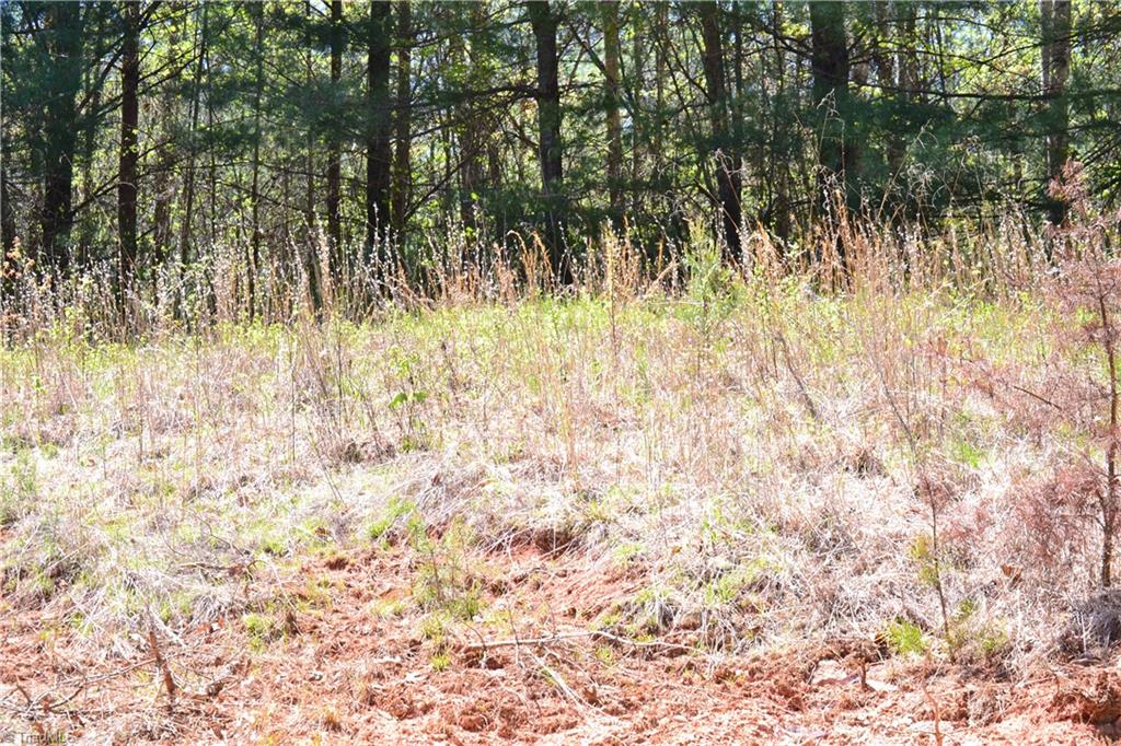 0 Swaringen Road Traphill, NC 28685 - Photo 15 of 15