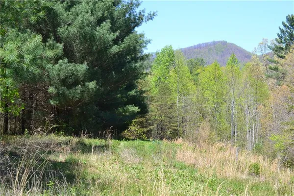 $37,500 | 0 Swaringen Road, Traphill, NC 28685