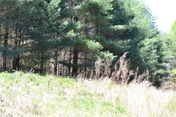 $37,500 | 0 Swaringen Road, Traphill, NC 28685