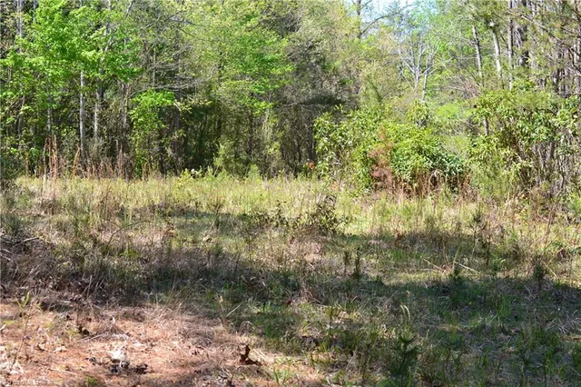 $40,000 | 0 Swaringen Road, Traphill, NC 28685