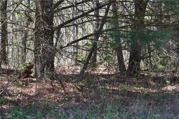 $37,500 | 0 Swaringen Road, Traphill, NC 28685