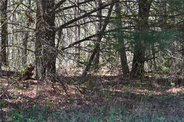 $40,000 | 0 Swaringen Road, Traphill, NC 28685