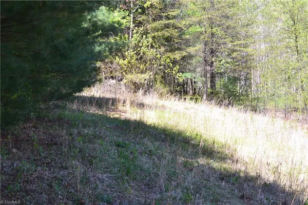 $37,500 | 0 Swaringen Road, Traphill, NC 28685