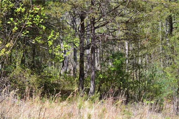 $37,500 | 0 Swaringen Road, Traphill, NC 28685