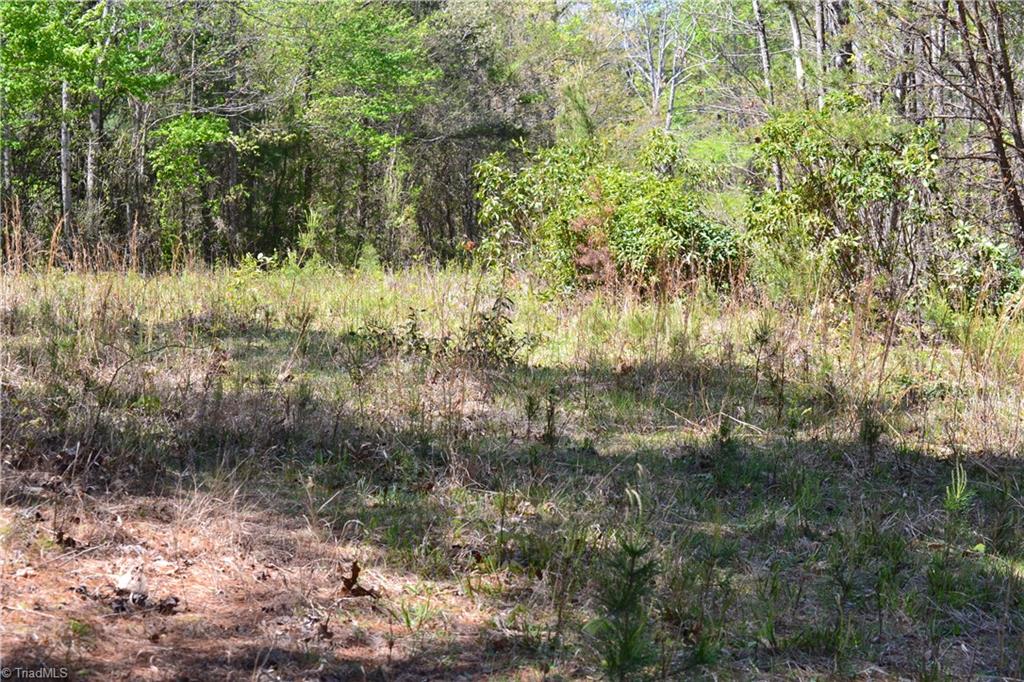 0 Swaringen Road Traphill, NC 28685 - Photo 10 of 15