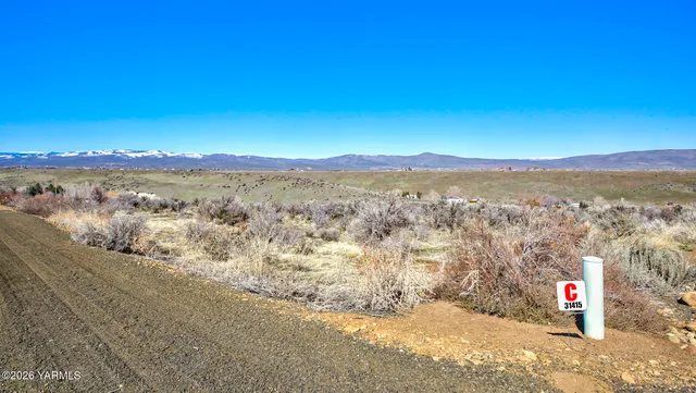 a view of city and mountain