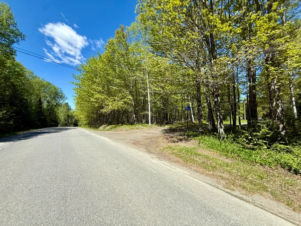 $87,000 | Lot34 I Scammon Road, Greenville, ME 04441