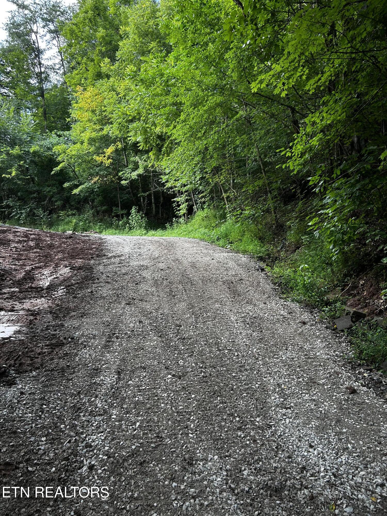 3900 Roberts Road Corryton, TN 37721 - Photo 26 of 26 IMG_2052