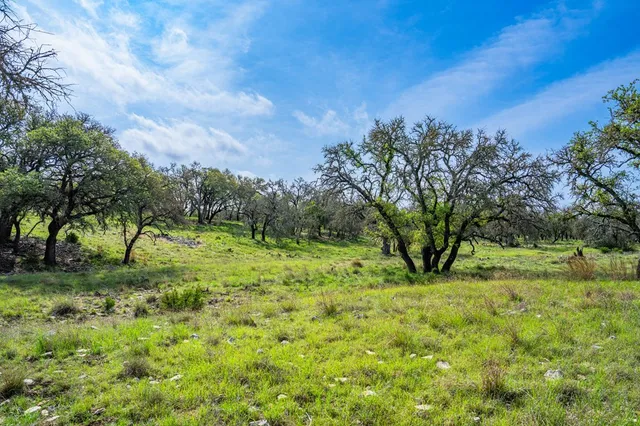 a view of a yard with an trees