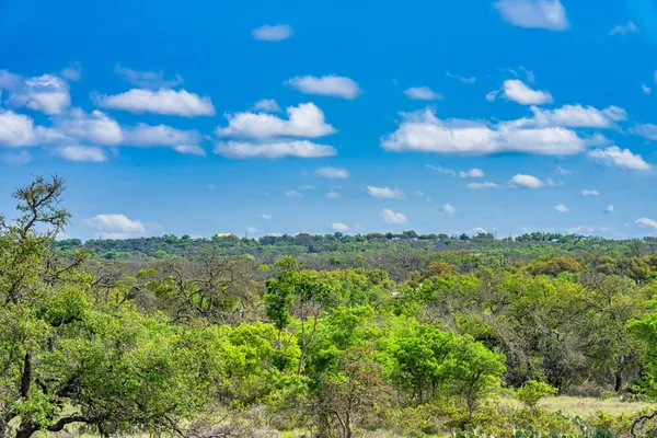 a view of a lake with a yard