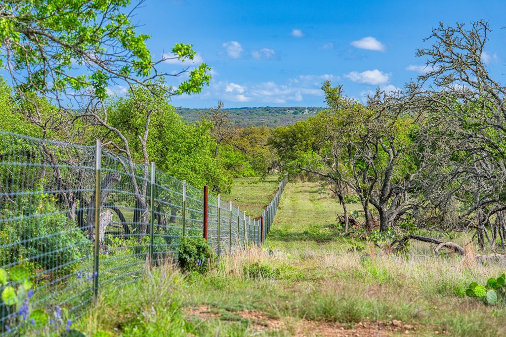 563 J J B Road Harper, TX 78631 - Photo 34 of 40 a view of a yard