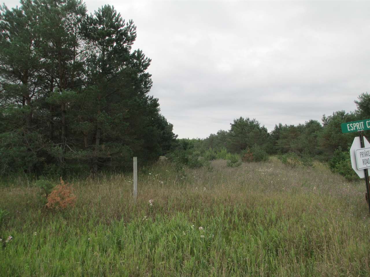 Anderson Road Kalkaska, MI 49646 - Photo 5 of 17 1860155-4.JPG
