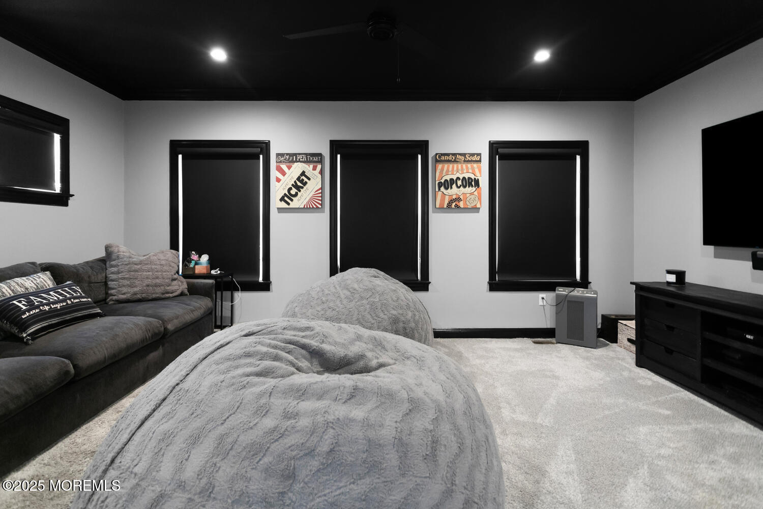 6 Pond Road Rumson, NJ 07760 - Photo 12 of 31 Theater2