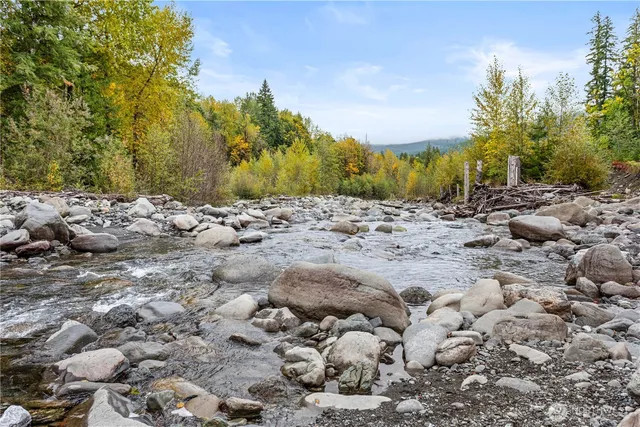 a view of a dry yard with trees