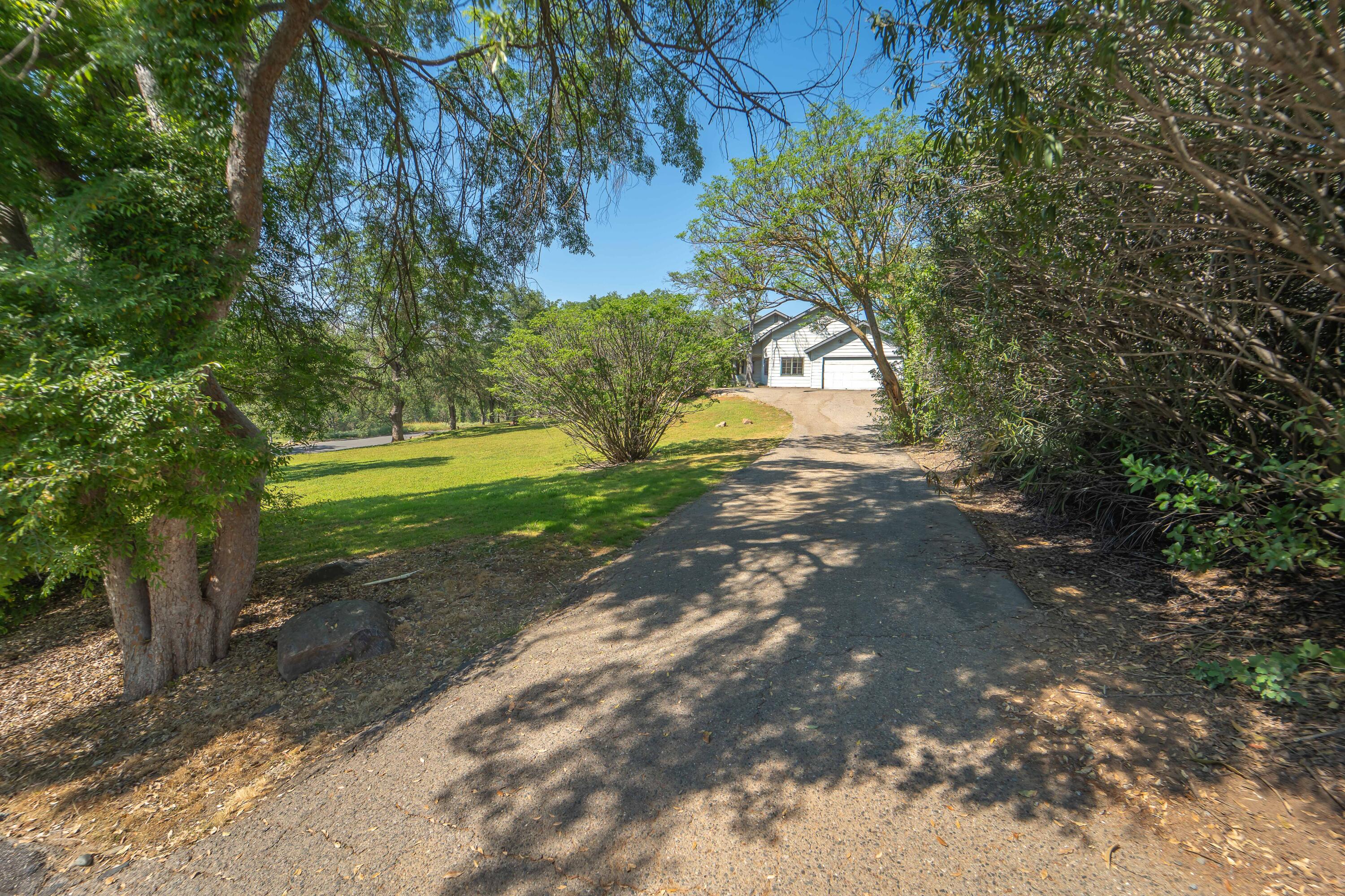 40962 Oak Ridge Drive Three Rivers, CA 93271 - Photo 24 of 36 a view of a yard with large trees