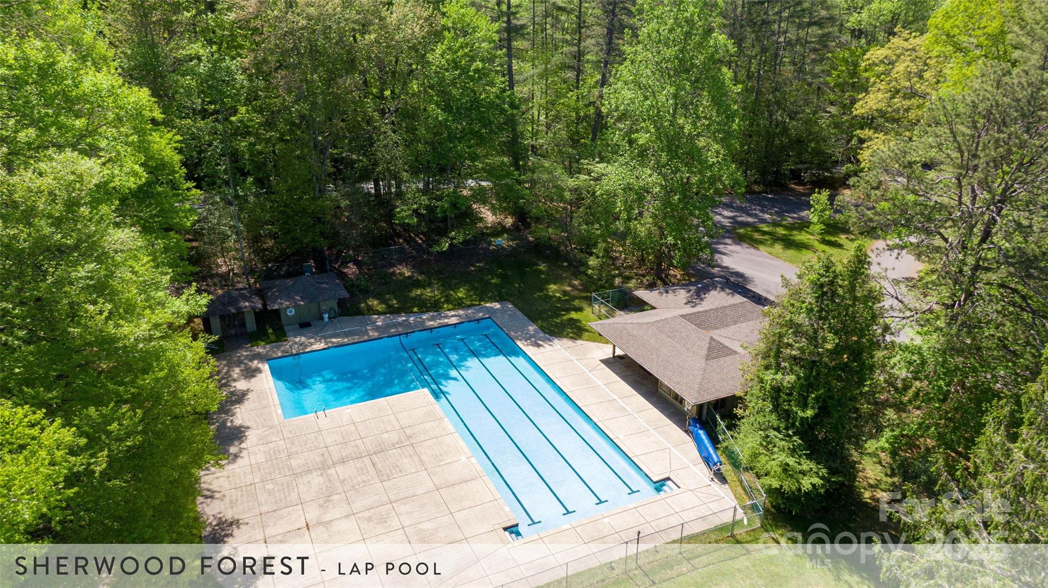888 Cardinal Road Brevard, NC 28712 - Photo 11 of 21 Gallery Image 11