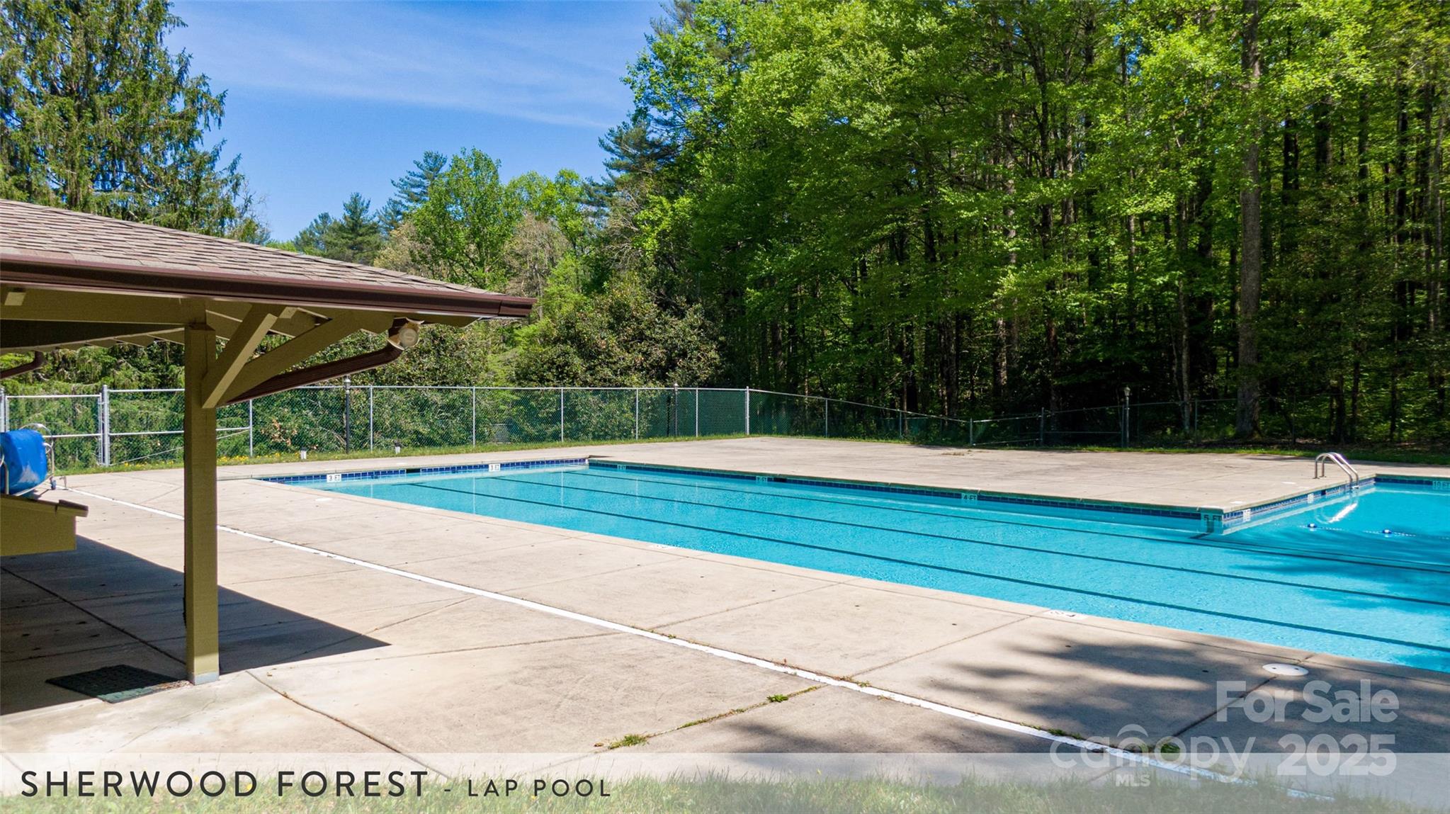 888 Cardinal Road Brevard, NC 28712 - Photo 12 of 21 Gallery Image 12