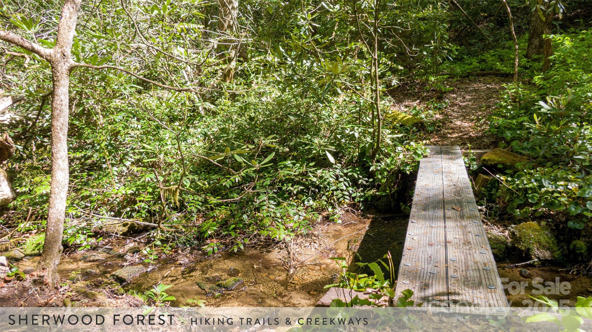 888 Cardinal Road Brevard, NC 28712 - Photo 14 of 21 Gallery Image 14