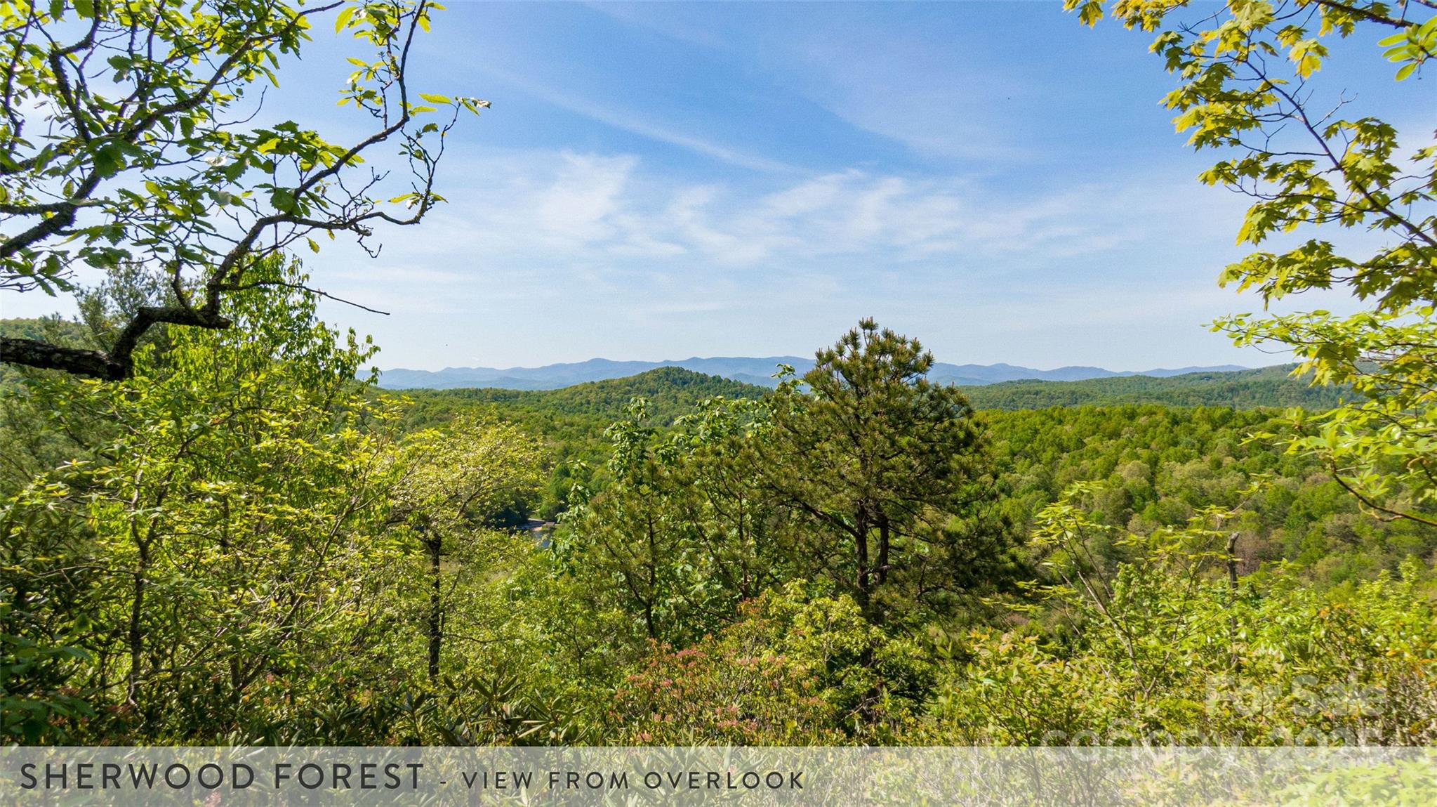 888 Cardinal Road Brevard, NC 28712 - Photo 15 of 21 Gallery Image 15
