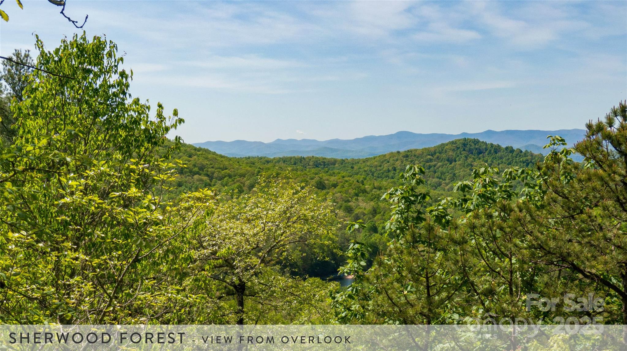 888 Cardinal Road Brevard, NC 28712 - Photo 16 of 21 Gallery Image 16