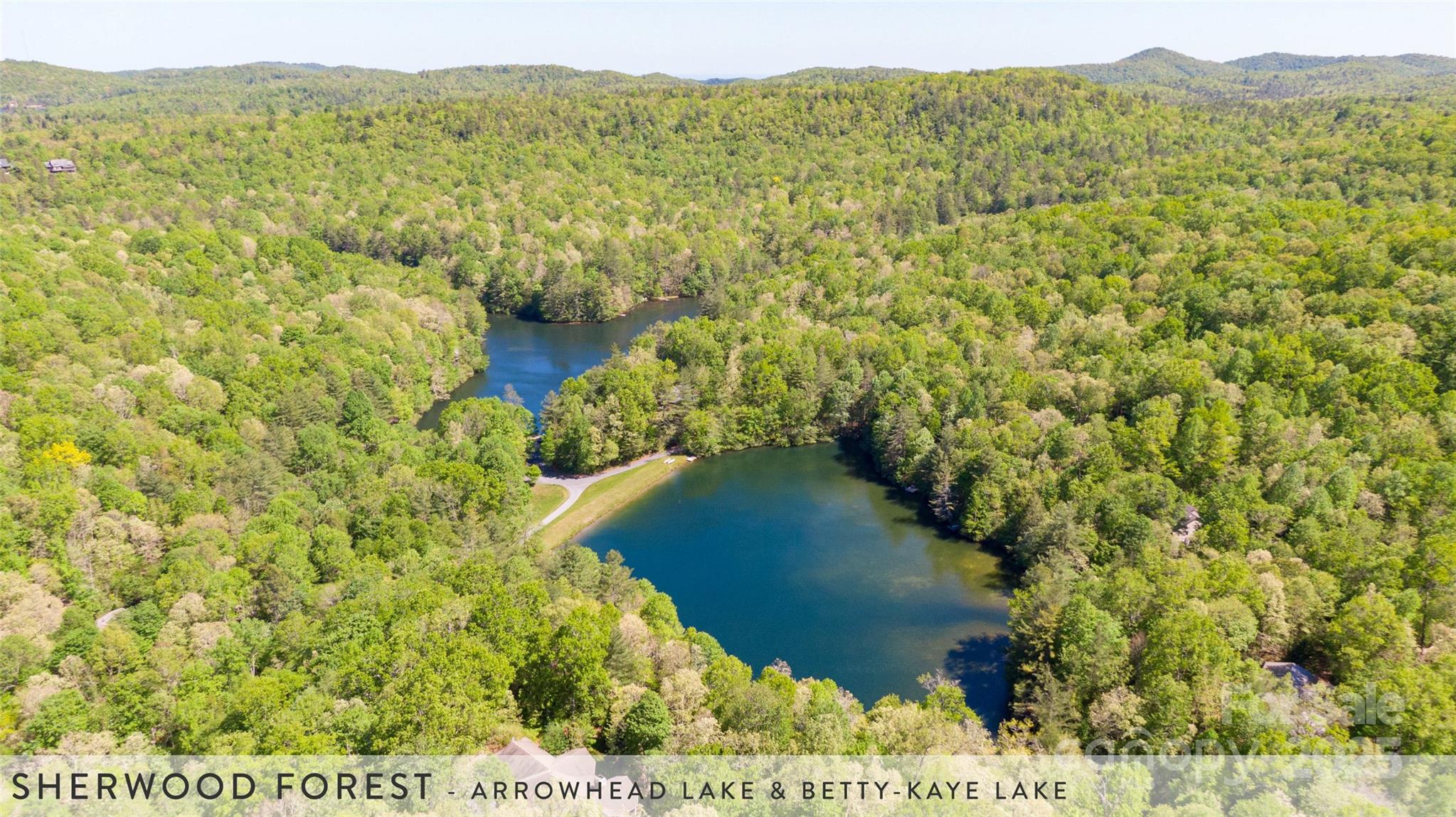 888 Cardinal Road Brevard, NC 28712 - Photo 18 of 21 Gallery Image 18