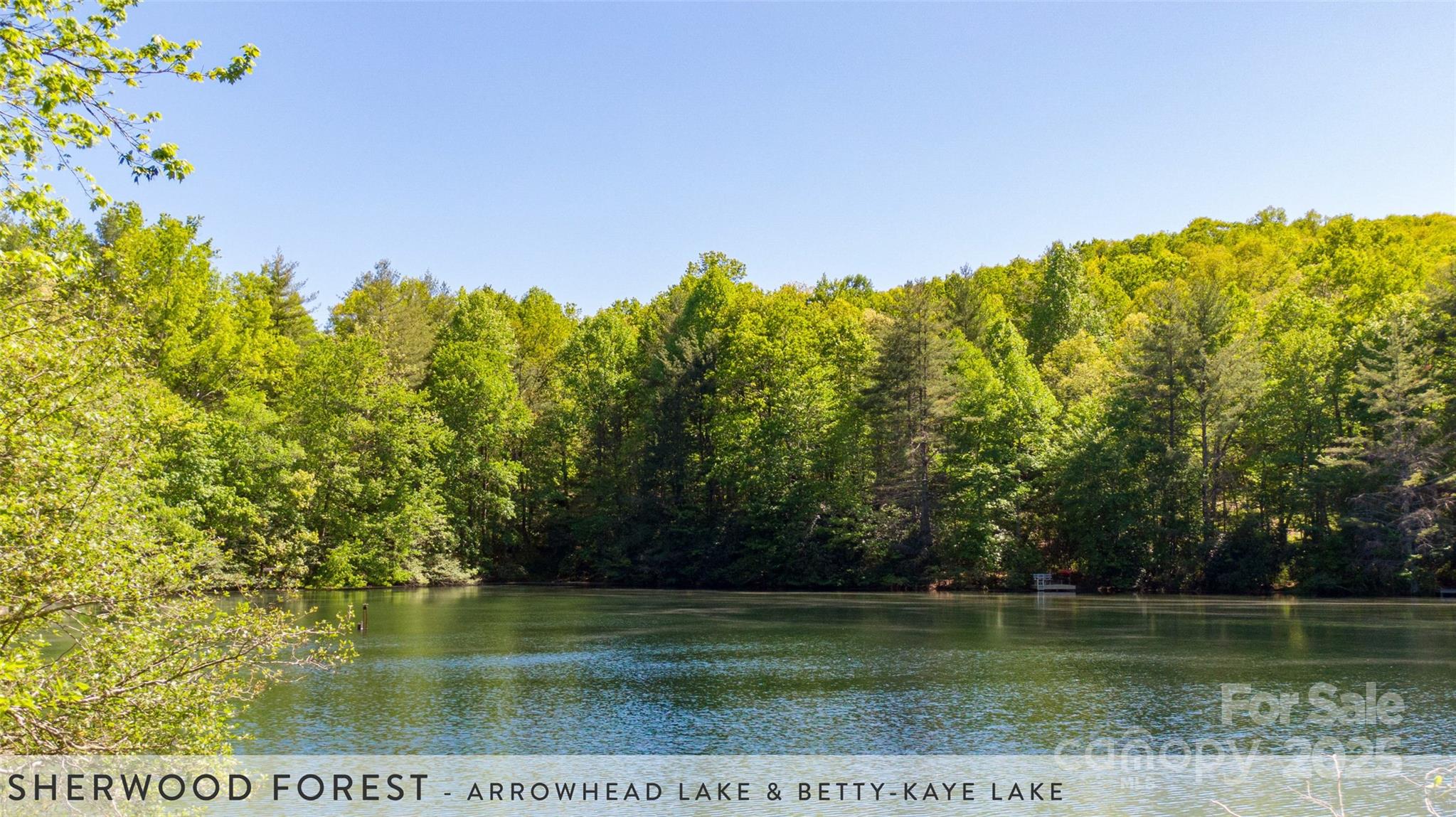 888 Cardinal Road Brevard, NC 28712 - Photo 20 of 21 Gallery Image 20