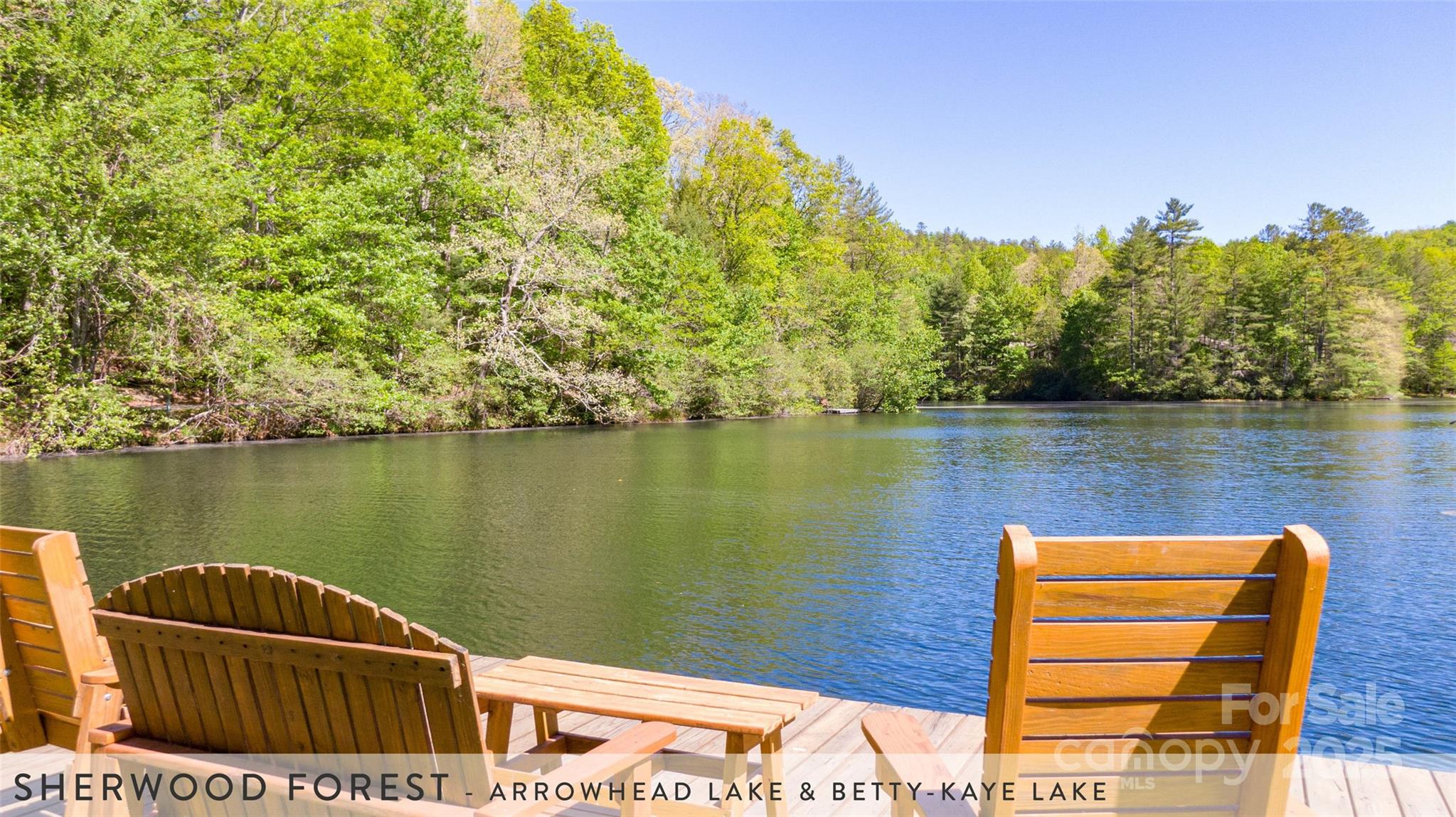888 Cardinal Road Brevard, NC 28712 - Photo 21 of 21 Gallery Image 21