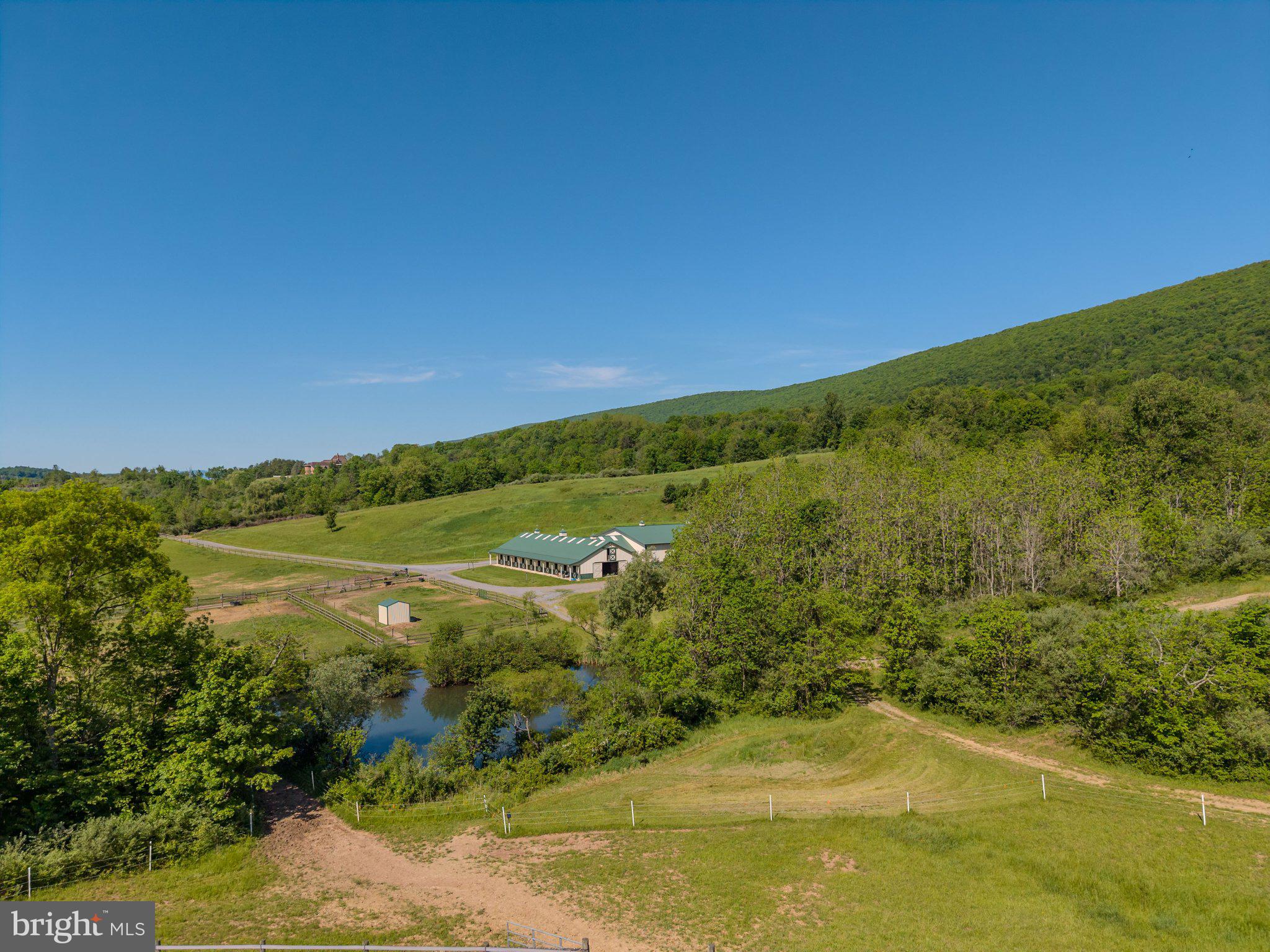 4503 Scotch Valley Road Hollidaysburg, PA 16648 - Photo 8 of 85 a view of a yard with an ocean