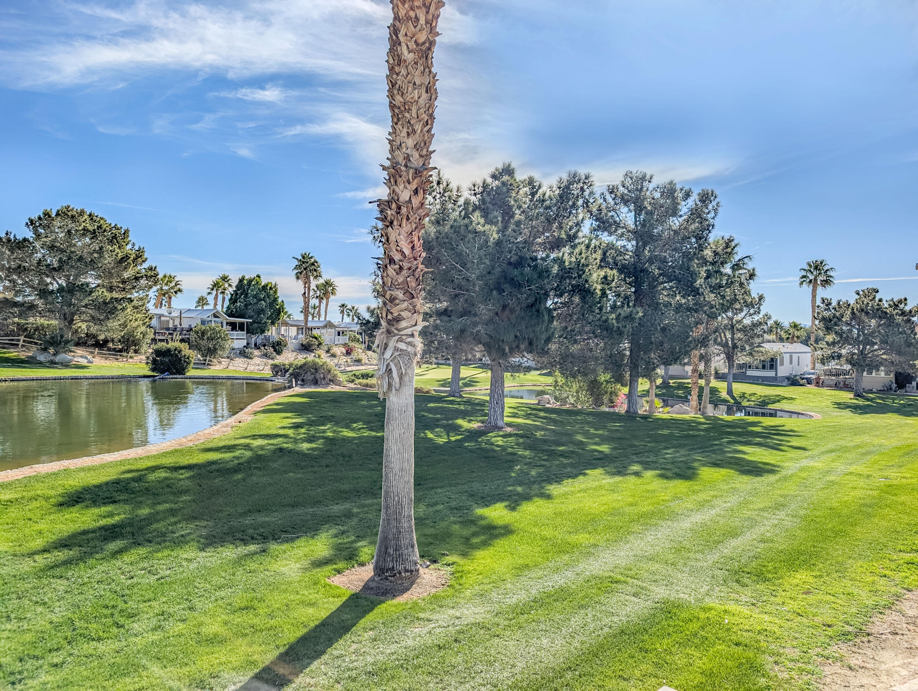 70200 Dillon Road, Unit 590 Desert Hot Springs, CA 92241 - Photo 16 of 42 a view of a garden with an outdoor space