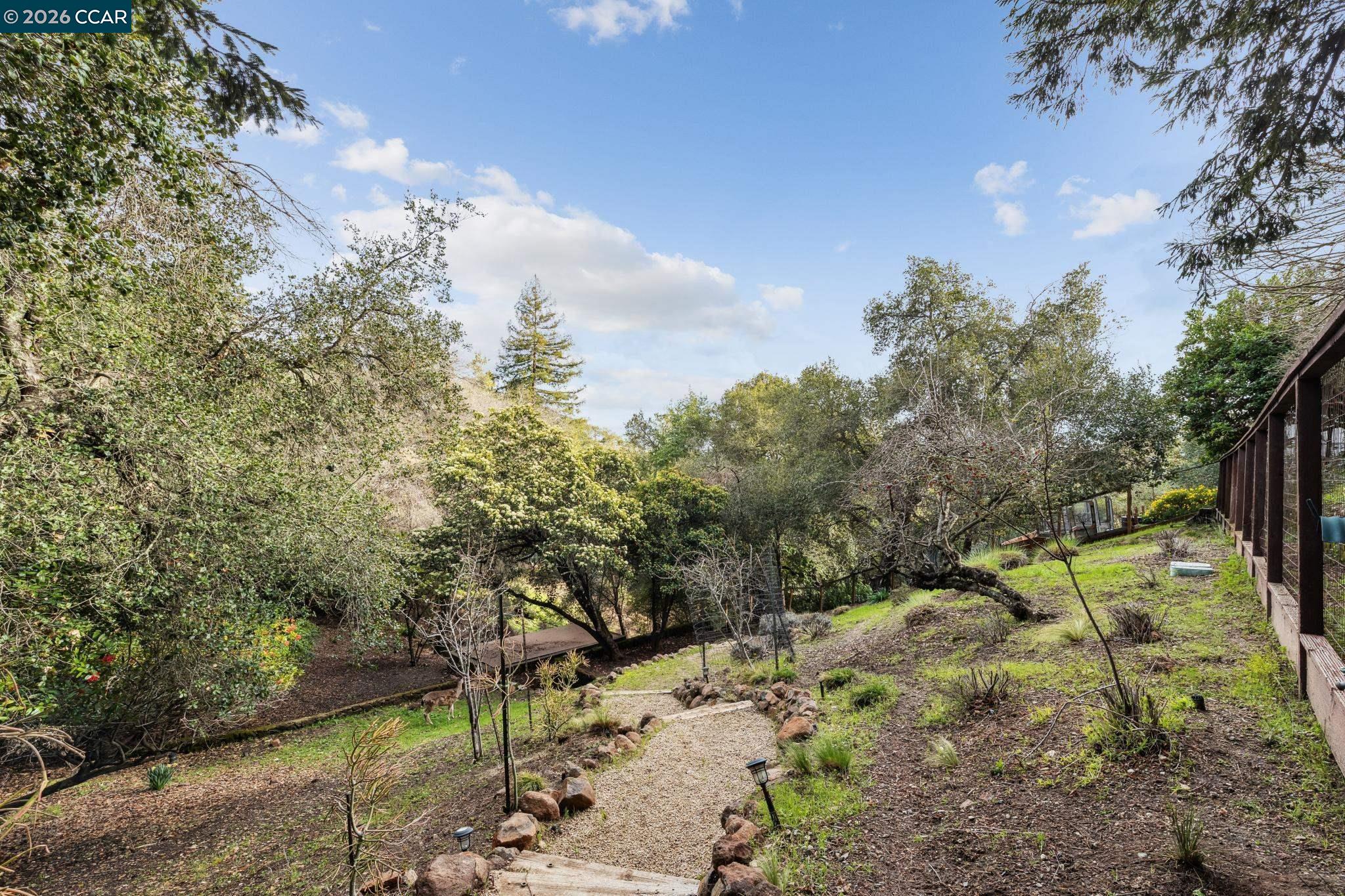 15 Los Dedos Road Orinda, CA 94563 - Photo 21 of 60