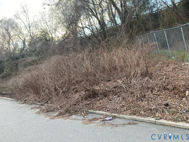a view of a dry yard