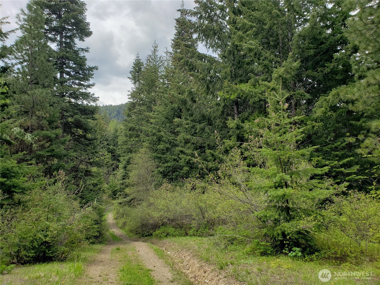 3300 F Road Cle Elum, WA 98922 - Photo 4 of 7 Gallery Image 4