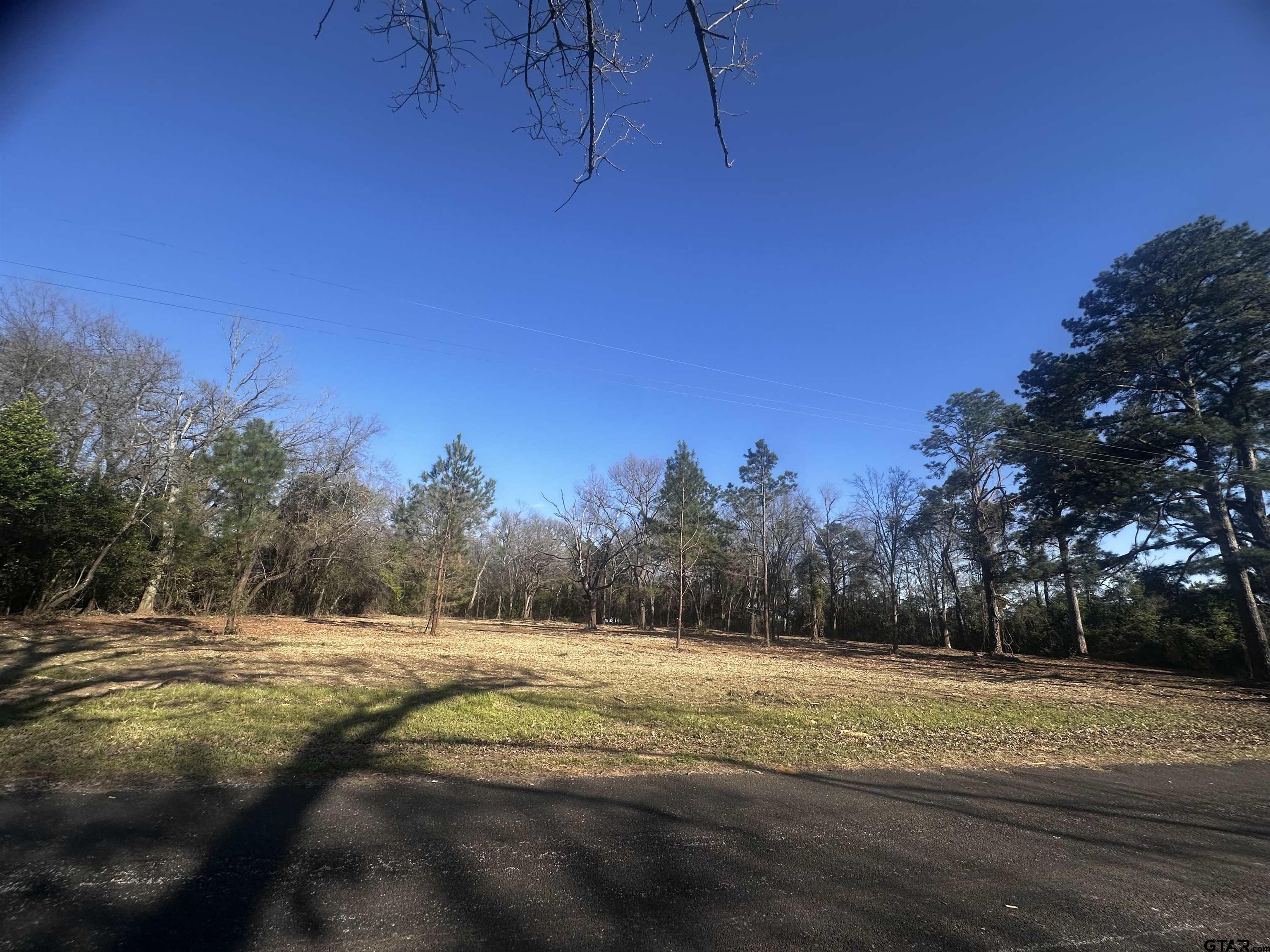 5770 County Road 334 Tyler, TX 75708 - Photo 1 of 12 a view of swimming pool with mountain view